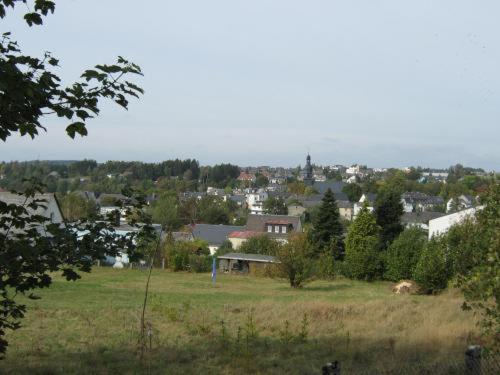 Selbitz Gasthof Napoleon מראה חיצוני תמונה